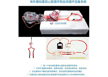 血管血流模擬裝置