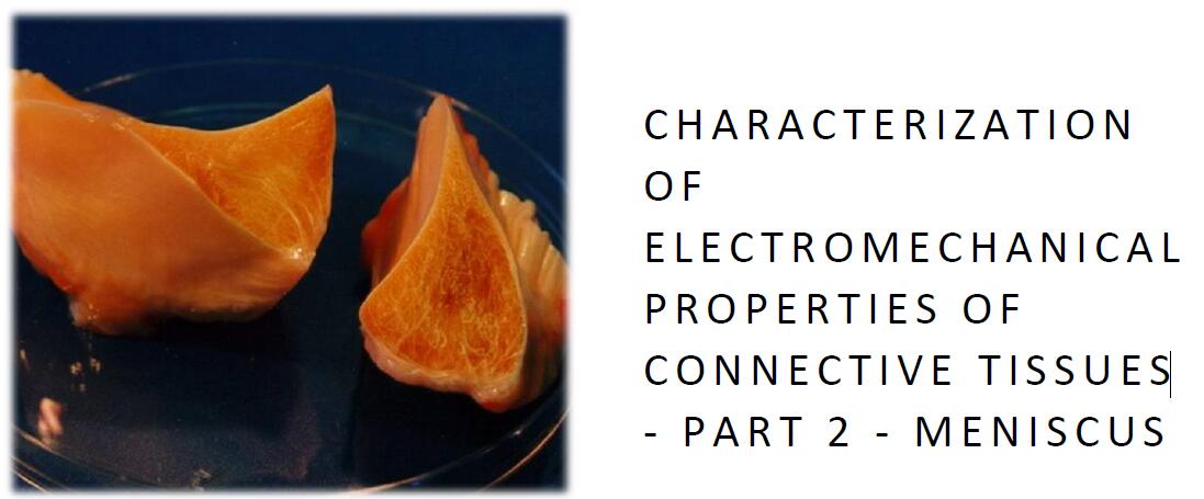 結(jié)締組織機(jī)電特性的表征.2部分：彎月面