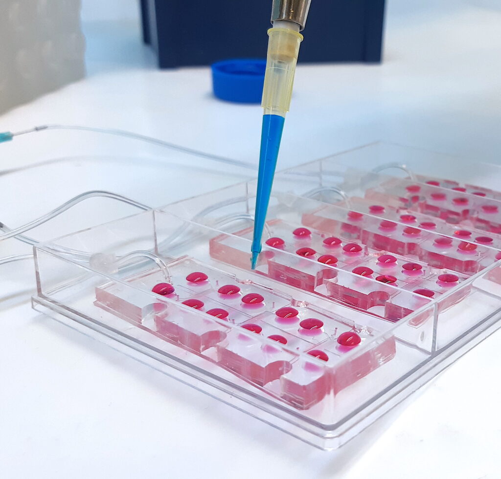 動態機械刺激多功能器官芯片系統