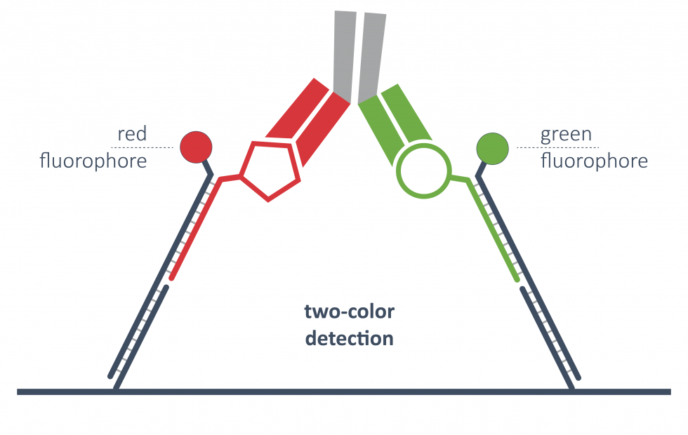 two-color-detection_1-980x620.png