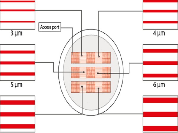 動態微圖案培養皿