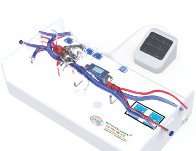 醫學仿真模擬裝置