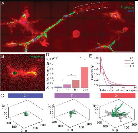 1686022585327047499.jpg QQ截圖20230606113556.jpg