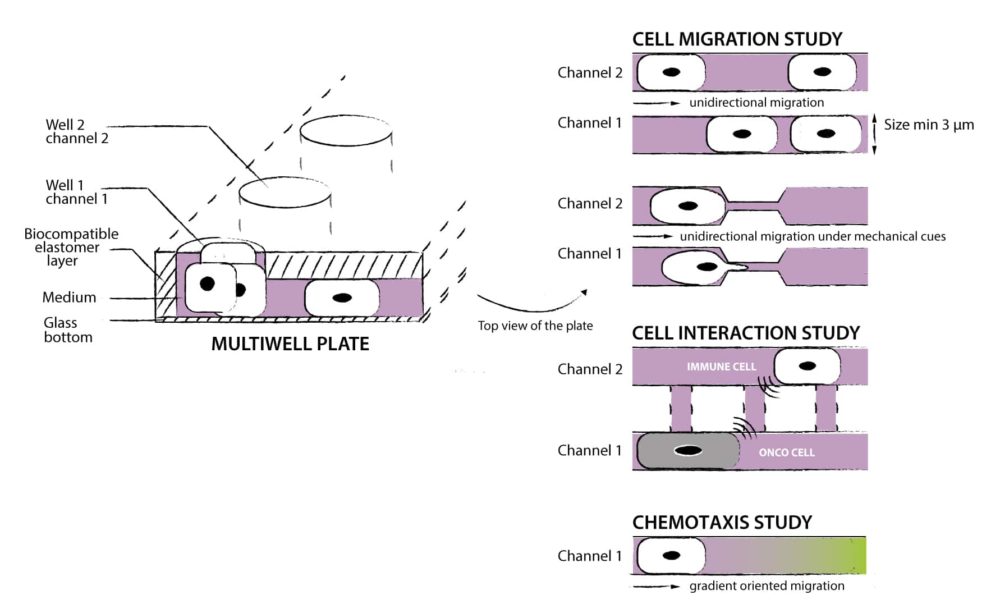Sch��ma-microcanaux-without-claims-without-FMP-2-1000x613.jpg