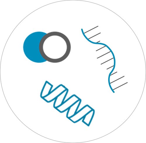 1687775109169044569.jpg 將運動和性能與多組學分析相結合.jpg