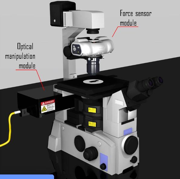 活細胞和組織細胞力學光鑷系統，專為細胞內微流變學、細胞核機械轉導、細胞膜機械感受器力、運動蛋白活性或細胞細胞相互作用等應用而設計