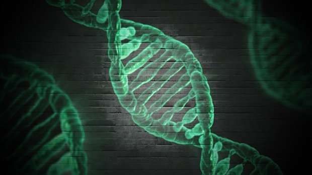 Nat Microbio：重大發現！科學家發現新的CRISPR/Cas9系統！