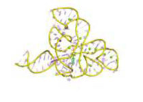 1512361002718988.jpeg agsh.jpg