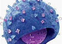 1521435909938010.jpeg gdfhdfj.jpg