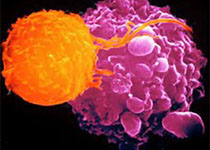 1521513870787935.jpeg afadga.jpg