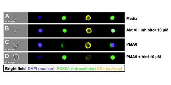 1534769912386353.jpeg 1.jpg