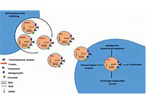 1543206492726977.jpeg th (5).jpg