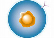 1543461550915973.jpeg dagj.jpg