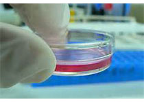 1546835194928456.jpeg gagrh.jpg