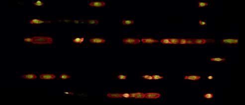 ���l΢�D��