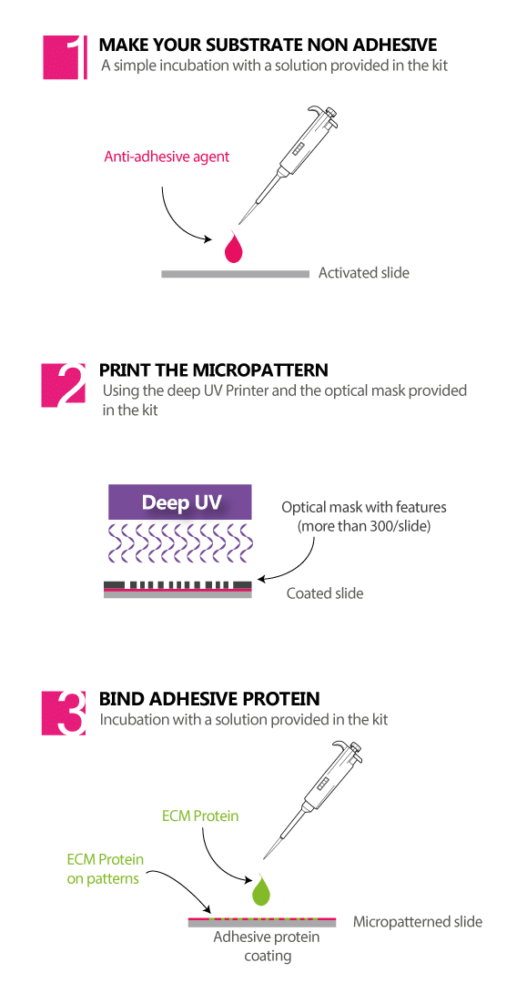 ΢�D��������ģ