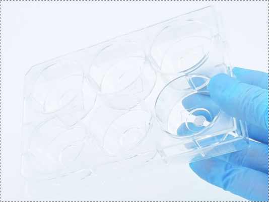 結構化水凝膠，3d細胞球組裝培養板,環狀收縮力培養板，三維環狀組織收縮力培養板，